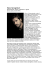 2012 Ecole des Maitres. Biografia Maestro