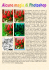 ROCCO-Pagina Manuale.pub