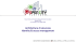 Presentazione standard di PowerPoint