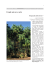 scarica pdf 3,7 MB - MUSE
