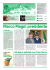 Visualizza PDF