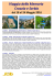 Scarica Volantino PDF