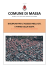 disciplinare ZTL - Comune di Massa