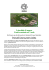 I giardini di marzo Conversazioni sul Verde