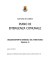 PIANO DI EMERGENZA COMUNALE