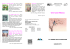 scarica pdf