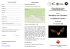 Pieghevole Workshop Chirotteri - GSCAIVarese