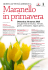Locandina Festa di Primavera 2013 - Consorzio Maranello Terra del