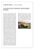 Pagina 5 - LANOTIZIAWEB.IT