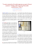 Versione PDF