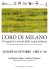 volantino A5 web