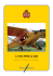 1/4 rc piper j3 cub