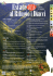EVENTI SETTIMANALI(mese di AgoSTo) EVENTI