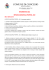 pdf - 172.86 KB - Comune di Concesio
