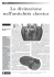 Leggi l`articolo in formato pdf