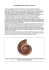 pdf - 205.21 KB - Comune di Concesio