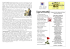 Visualizzazione a schermo intero
