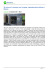 Salva in formato PDF