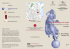 Invito 3 ante ok info.indd - I Musei per la storia in Lombardia