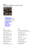 R.E.M. Automatic For The People (*)