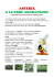 II° SETTIMANA: ASTERIX E LE ERBE AROMATICHE