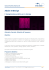 Adobe InDesign