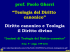 DIRITTO DIVINO - gherripul