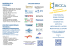 brochure ricca 2016.1