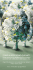 2.000 alberi sono già nati.