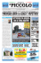 pdf sito piccolo 29
