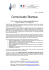 Comunicato Stampa