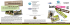 CAMP FATTORIA Camp EQUITAZIONE