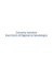 dipartimento di management