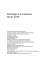 PsicologiadellImmersionel