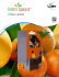 Citrus Juicer - JBT FoodTech