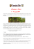Champagne e Alsazia 1 – 4 maggio 2014