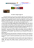A rimorchio sempre degli altri