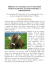 PERSINO UN ANIMALE PUO` EVOLVERSI SPIRITUALMENTE E