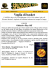 (Microsoft PowerPoint - Spazio SPB 1999 - Anno VII