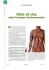Stile di vita nelle Patologie Cardiovascolari