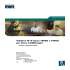 Telefono IP di Cisco 7960G e 7940G per Cisco