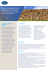 brochure certificazione pefc catena di custodia