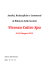 Relazione Vicenza Calcio 2013