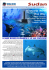 Itinerario Nord One Way