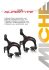 Supertype Carbon