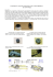 Costruiamo in cavetto di connessione tra PC e GPS GARMIN12 by