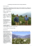 Aziende Agricole Giuliano Vitton e Giorgio Allemand