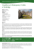 L`Inghilterra di Shakespeare, il Galles e Cambridge
