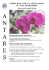 Corso orchidee 2016