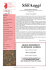 Visualizza PDF